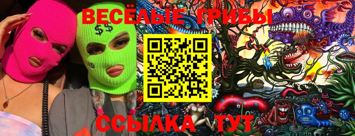 Жигулёвск  Галлюциногенные грибы MAGIC MUSHROOMS  Вход с VPN 